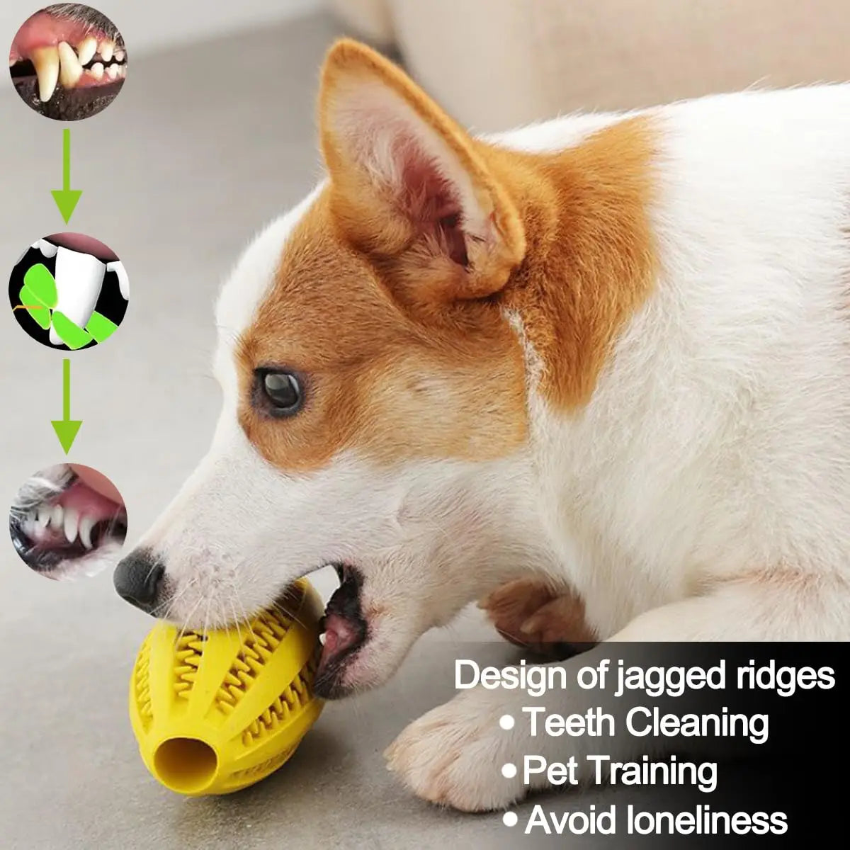 Dog Chew Snack Ball